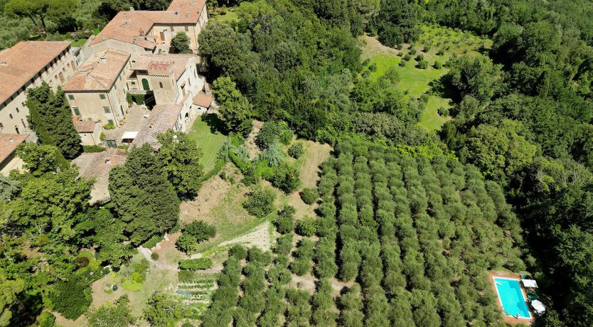 Photo of Olive Outlook