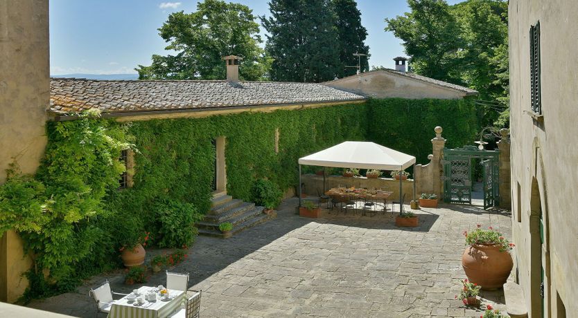 Photo of Olive Outlook