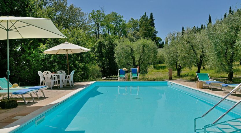 Photo of Olive Outlook