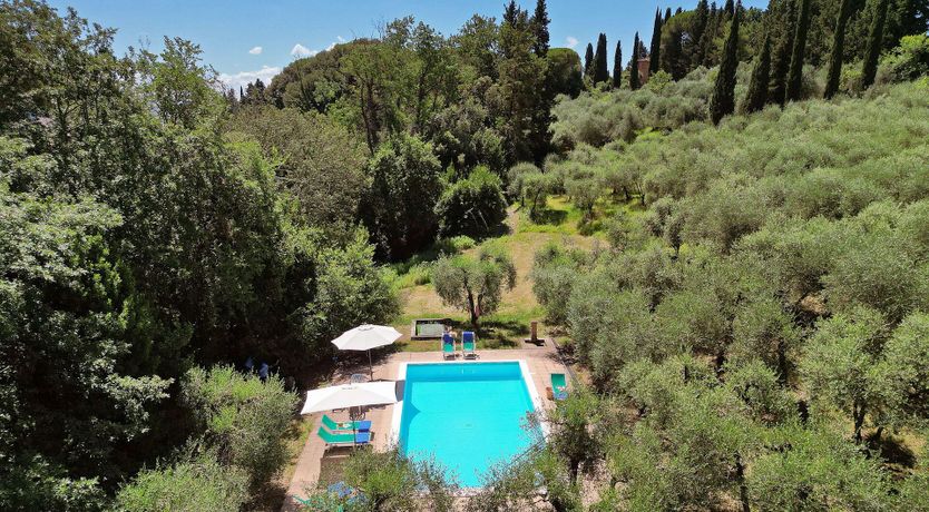Photo of Olive Outlook