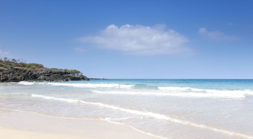 Photo of Hawaiian Hues