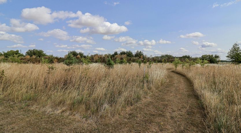 Photo of Quiet in the Countryside
