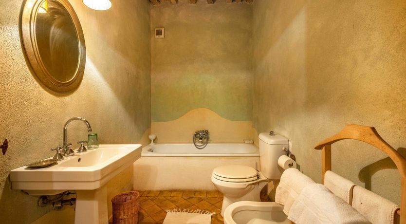 Photo of Gentle Sunburst