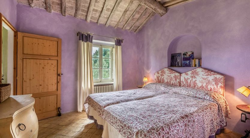 Photo of Gentle Sunburst