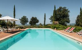 Photo of Gentle Sunburst