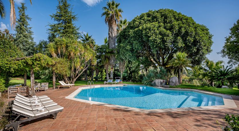 Photo of Noble Comfort