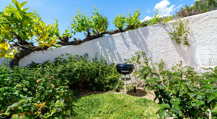 Photo of Raffia & Rattan