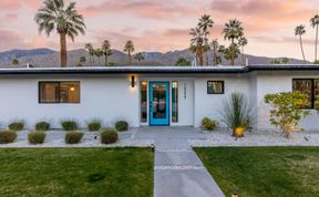 Photo of Pink & Palms