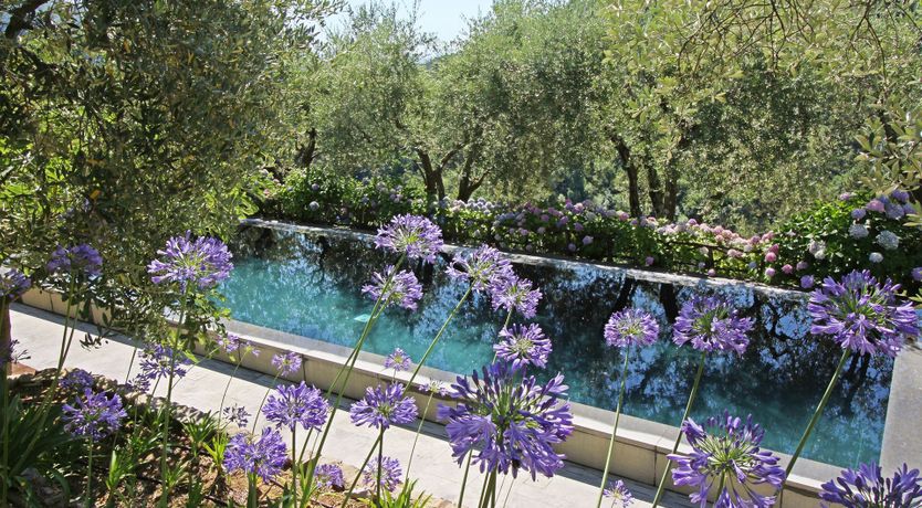 Photo of Gentle Tuscan Haven