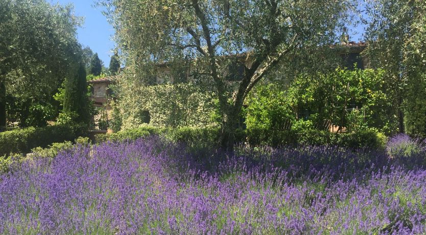 Photo of Gentle Tuscan Haven