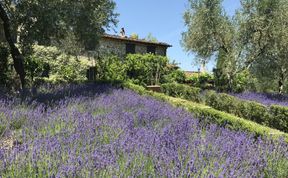 Photo of Gentle Tuscan Haven