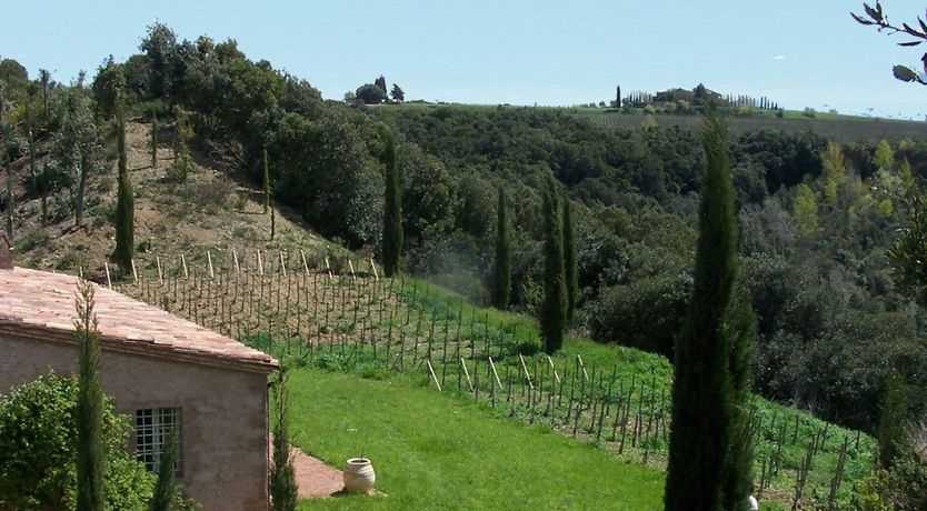 Photo of Hidden Amber Residence