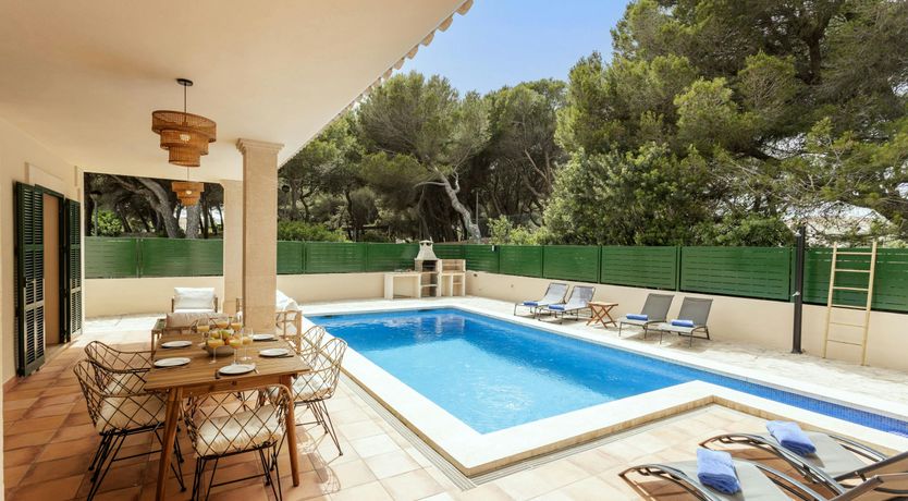 Photo of The Lively Coast