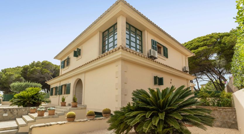 Photo of The Lively Coast