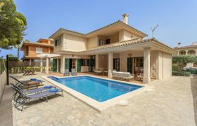 Photo of the-lively-coast