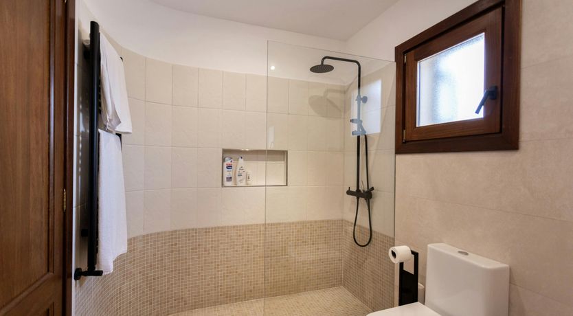 Photo of The Lively Coast