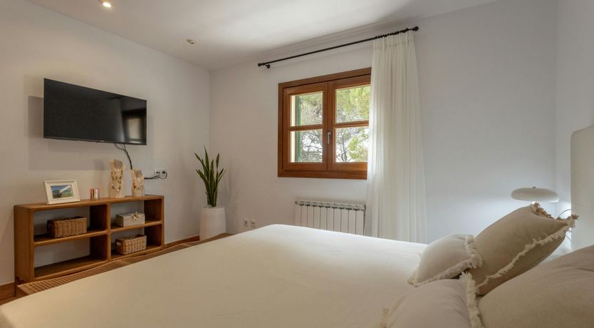 Photo of The Lively Coast