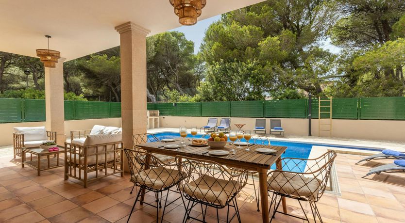 Photo of The Lively Coast