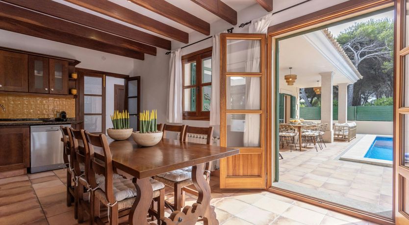 Photo of The Lively Coast