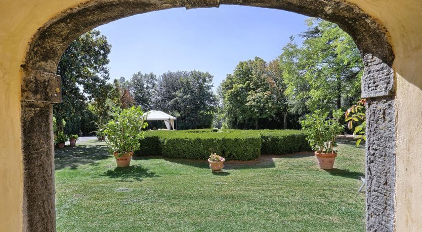 Photo of Chandelier & Vine