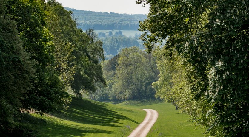Photo of The Secret in the Chilterns