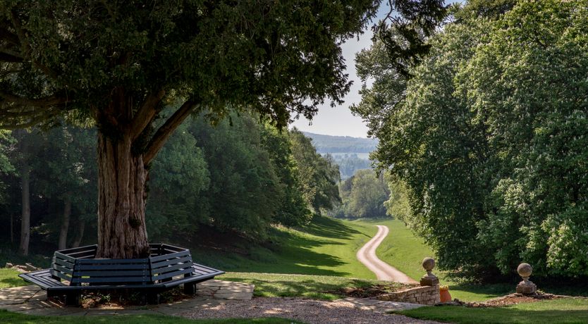 Photo of The Secret in the Chilterns