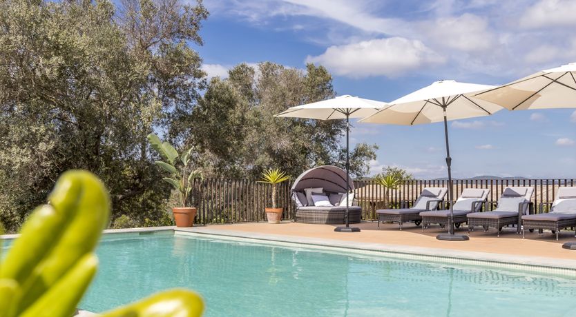 Photo of Celestial Blue