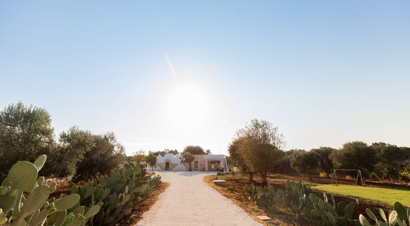 Photo of Opulent Domain