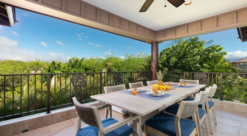 Photo of Sunlit Palm