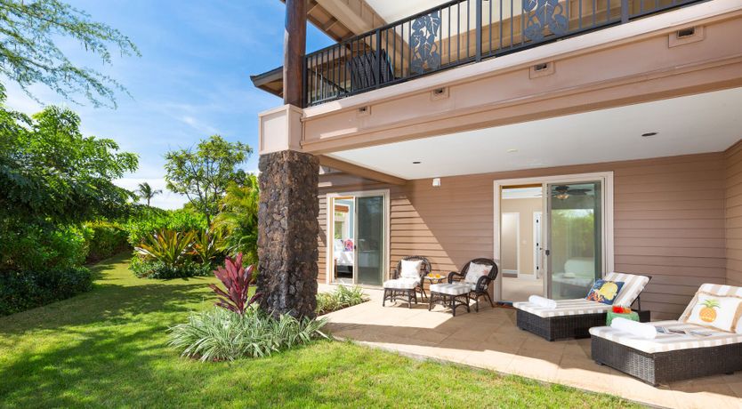 Photo of Sunlit Palm