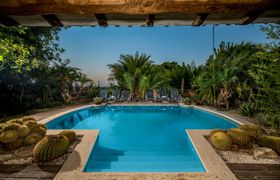 Photo of bamboo-garden