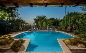 Photo of Bamboo Garden