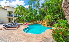 Photo of Mango Grove