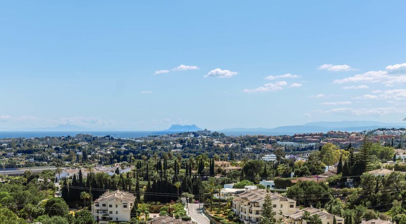 Photo of Golden Crest