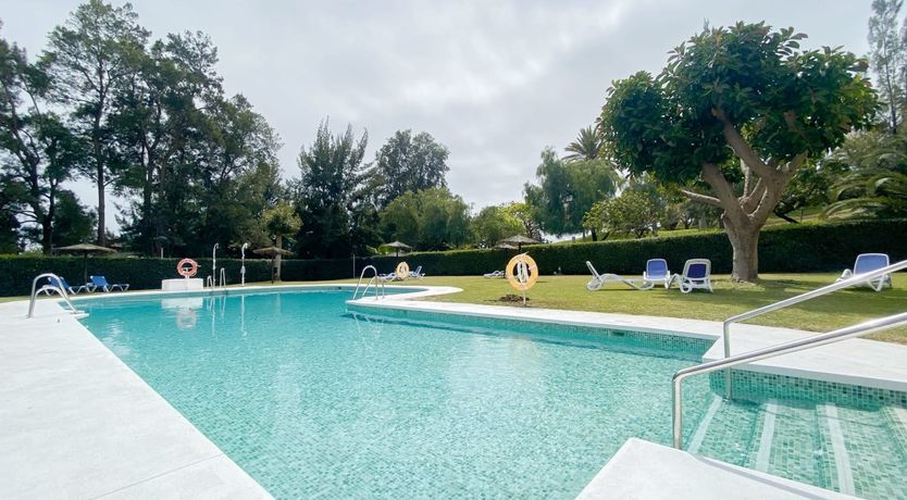 Photo of Golden Crest