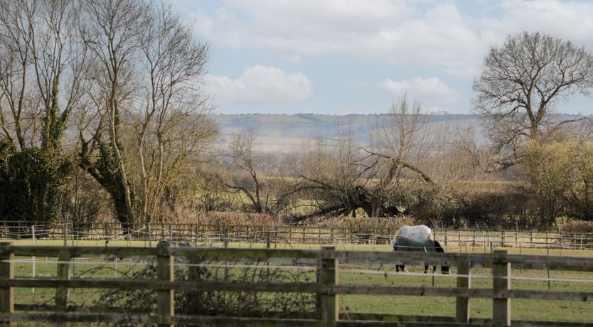 Photo of The Regal Orchard
