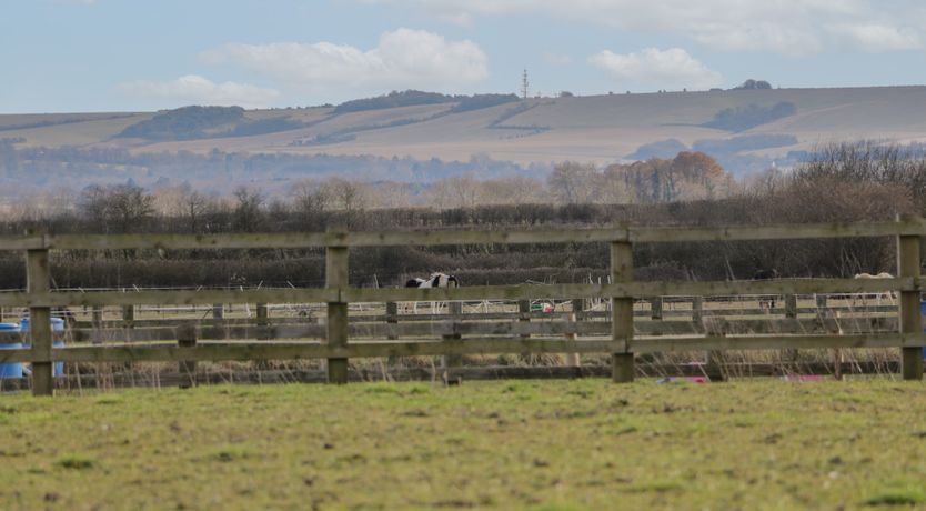 Photo of The Regal Orchard