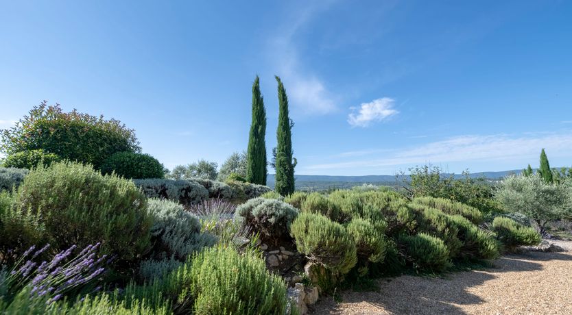 Photo of Sunny in Provence
