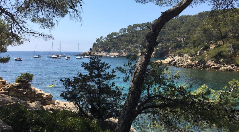 Photo of Sunny in Provence