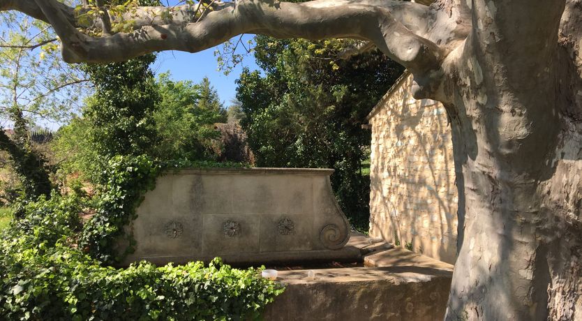 Photo of Sunny in Provence