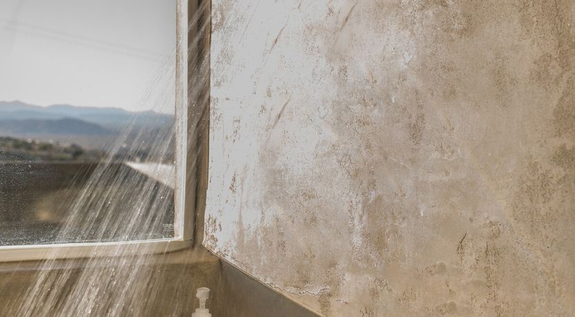 Photo of Modernist Cabin