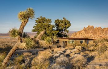 Modernist Cabin Holiday Home