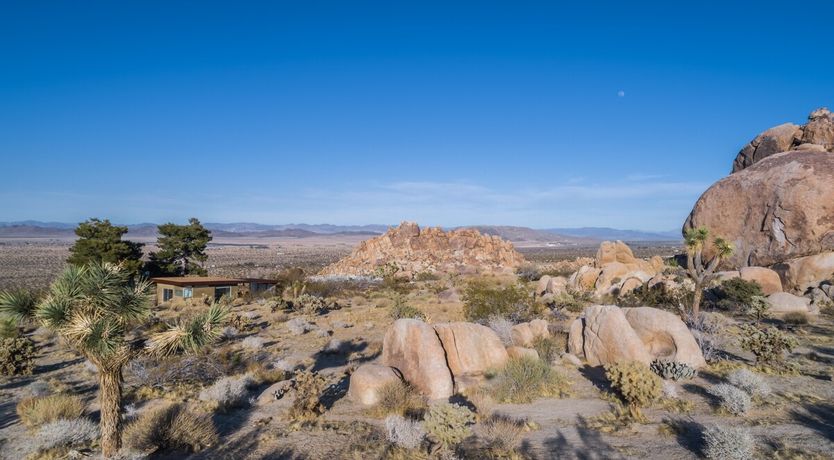 Photo of Modernist Cabin