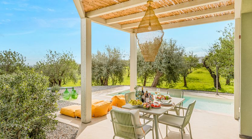 Photo of Citrus Sunsets