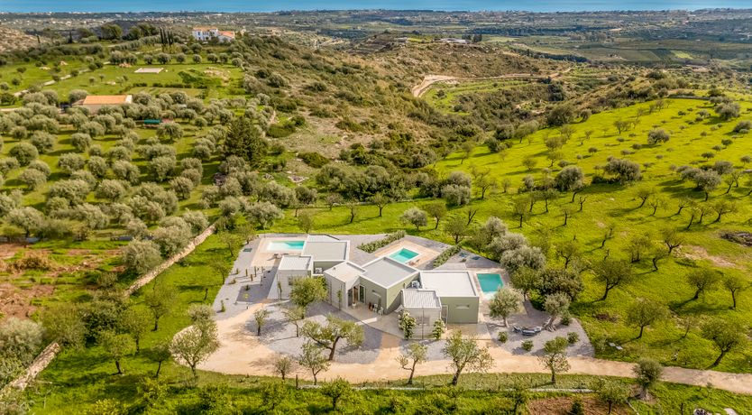 Photo of Citrus Sunsets