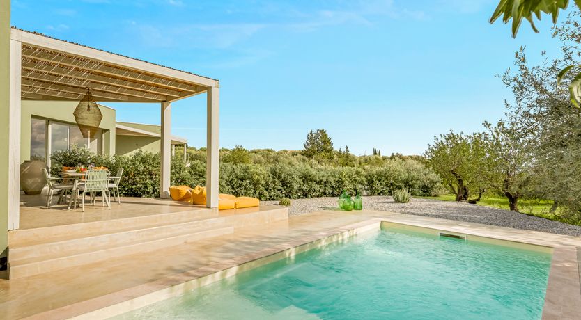 Photo of Citrus Sunsets