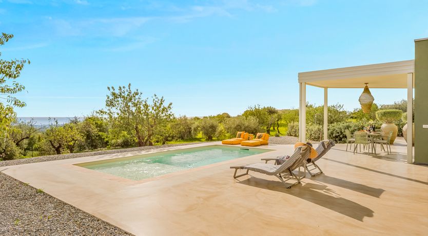 Photo of Citrus Sunsets