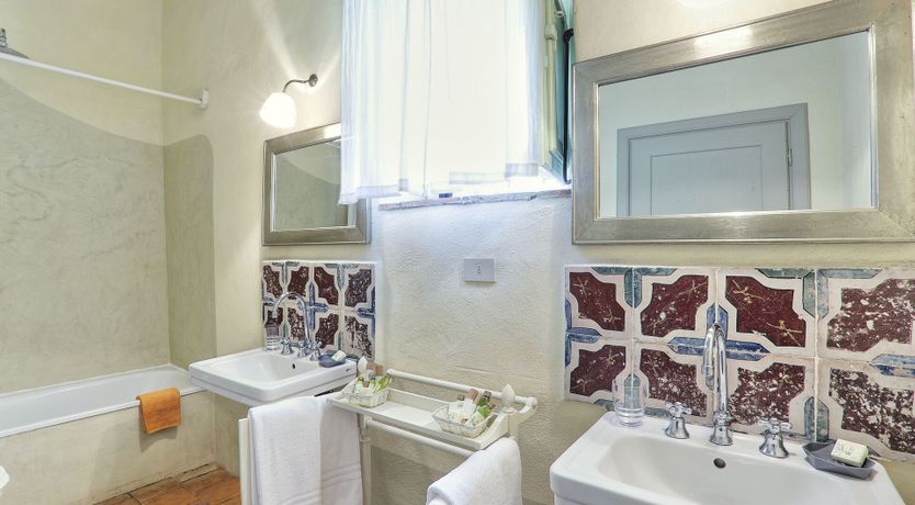 Photo of Olive Trees & Rolling Hills