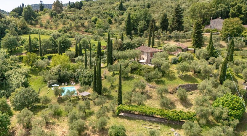 Photo of Olive Trees & Rolling Hills