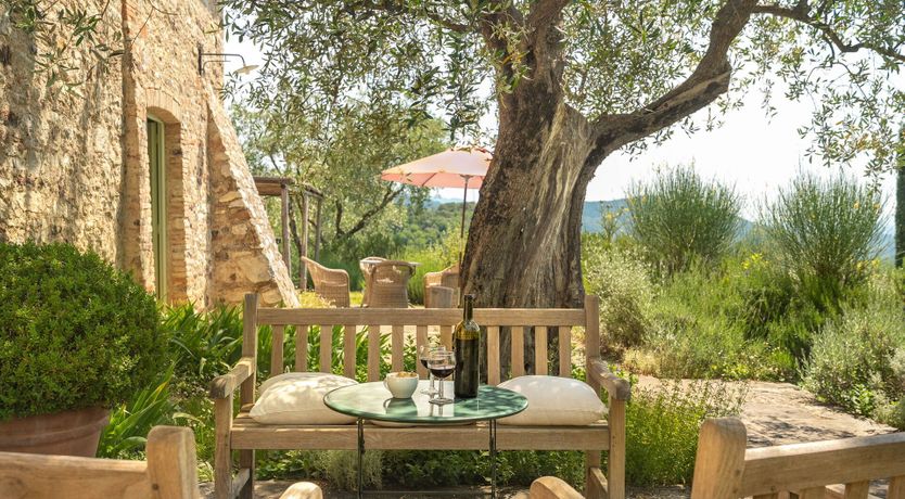 Photo of Olive Trees & Rolling Hills